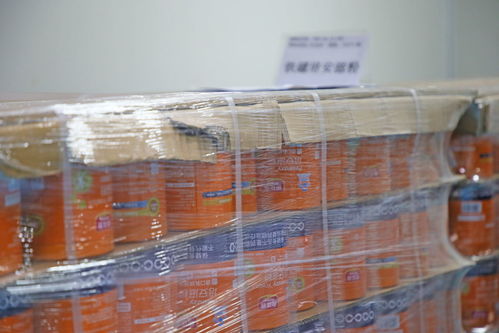 深化行業交流，共筑品質未來——廣東省保健食品行業協會與廣東省孕嬰童用品協會參觀富諾健康生產工廠，共探健腹器高質量發展之路
